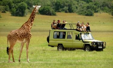 3 days Big five Safari in Uganda